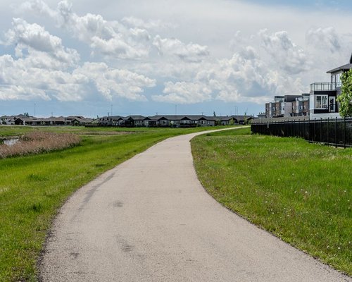calm neighbourhood walk